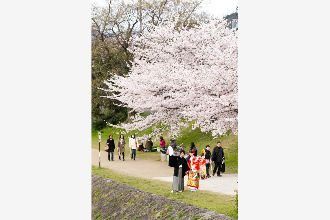 スマイルハンターが撮影した「ウェディング前撮り和装」の写真