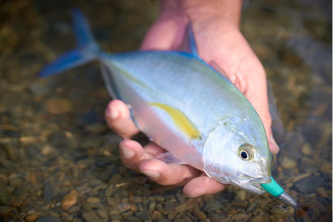 Earth Creative Productsが撮影した写真のアルバム「企業様ご案件」