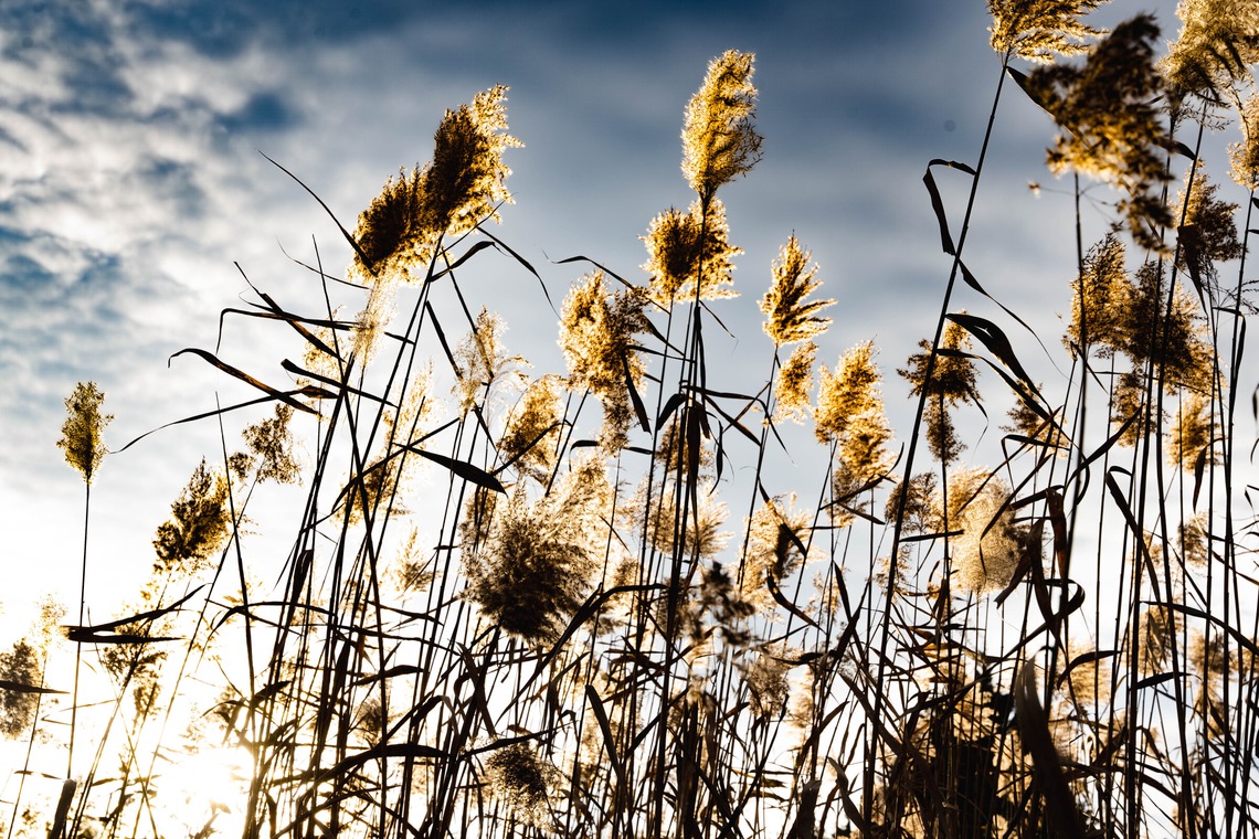 細田　恭平が撮影した「アウトドア撮影」の写真