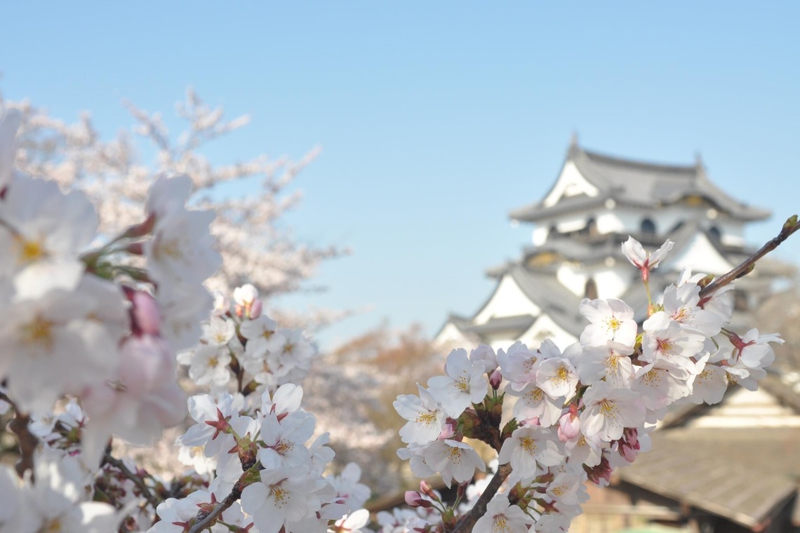 Photo BASEが撮影した写真のアルバム「メニュー撮影、物撮り、イメージ」