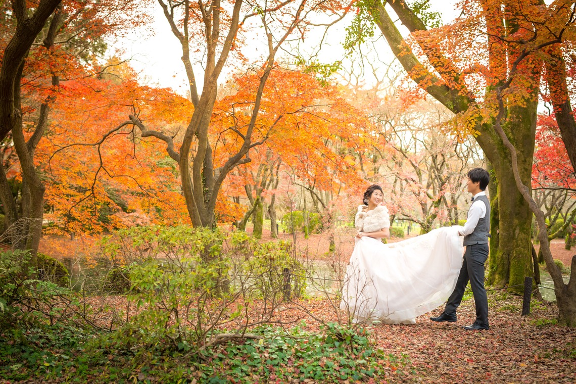 Photo of kyoto autumn taken by SORAIRO