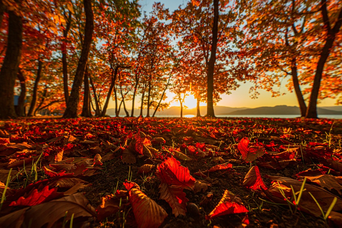 高木勇斗が撮影した「風景　物撮り」の写真