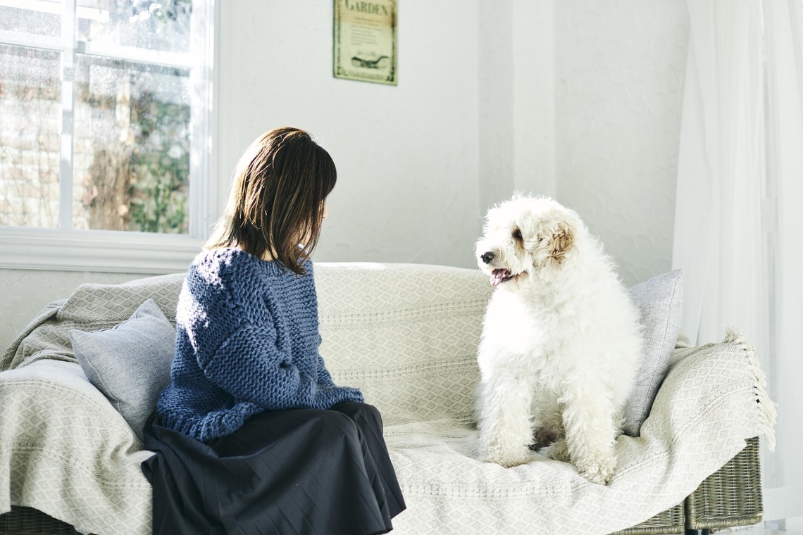 大橋裕紀が撮影した写真のアルバム「企業様ホームページ用商品撮影」