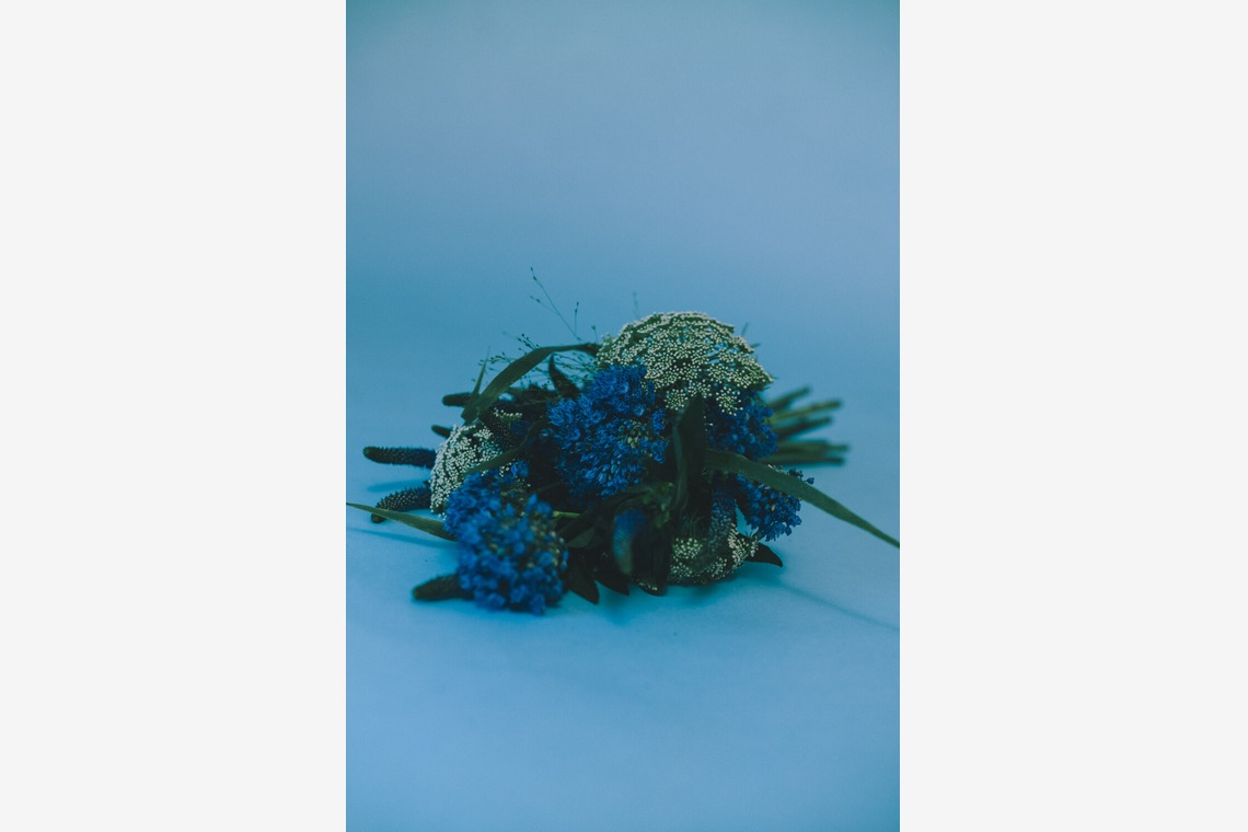 朝山　啓司が撮影した「写真」の写真