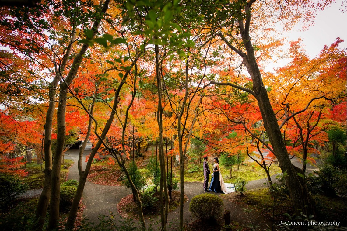 U-CONCENT (香川裕貴)が撮影した「結婚式撮影_愛染倉」の写真