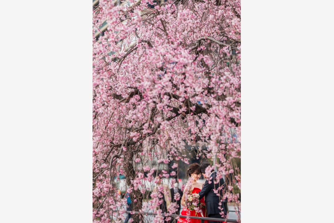 Photo Atelier feliceが撮影した「東京駅・丸の内のロケーションフォト」の写真
