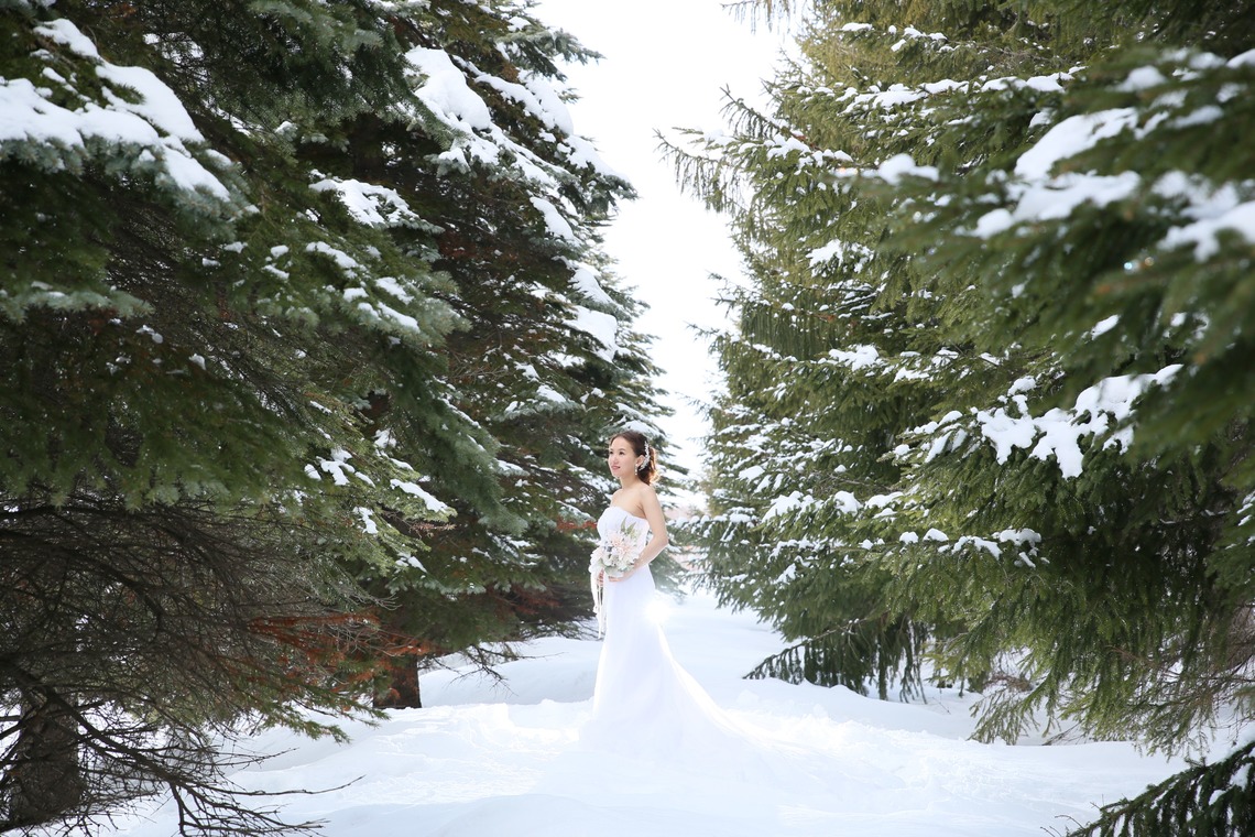 Sincere（サンシェール）が撮影した写真のアルバム「北海道／絶景フォトウエディング in 札幌」