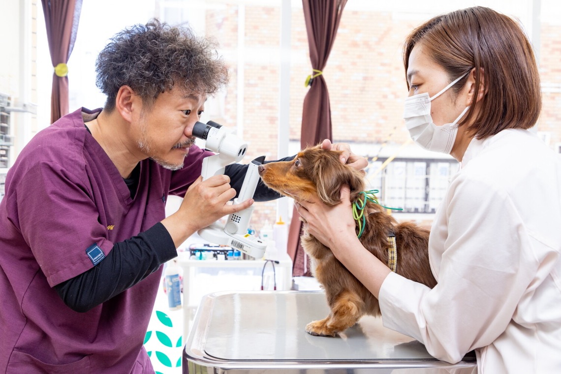 道海史佳が撮影した「求人撮影」の写真