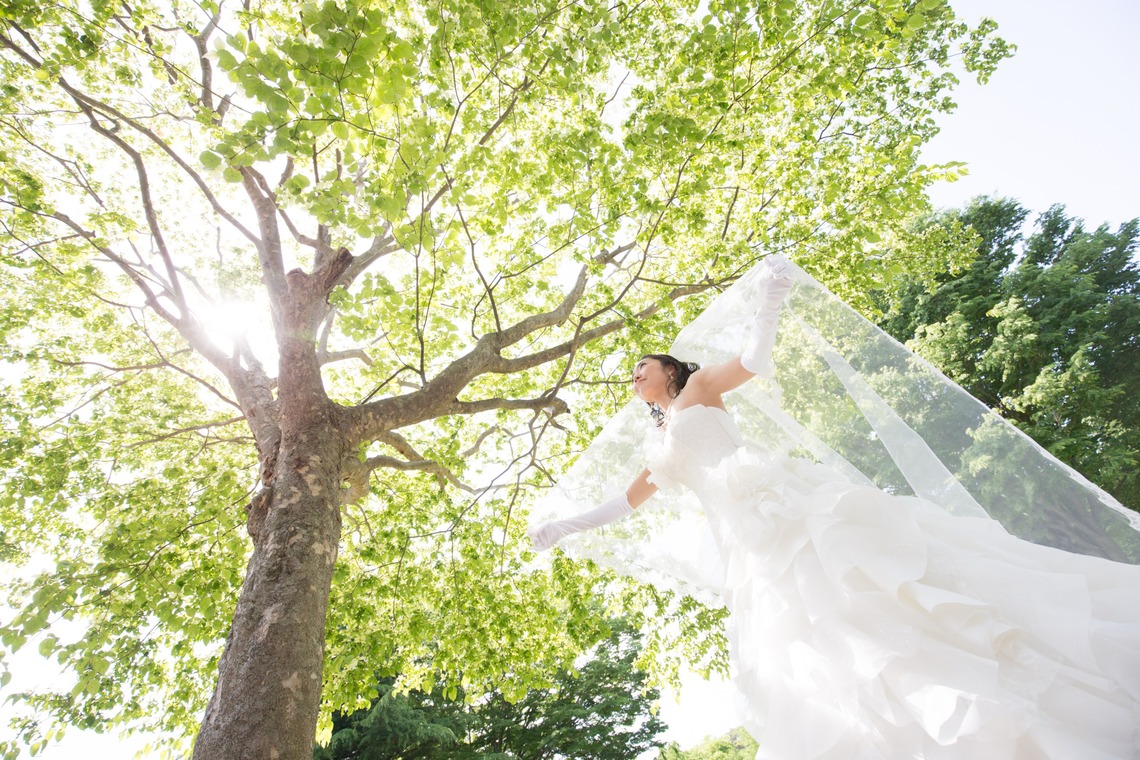 Photo of  taken by PANDA STUDIO JAPAN