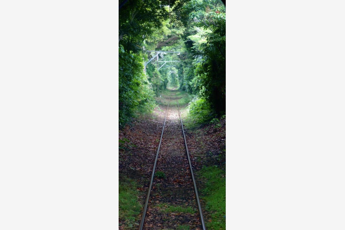 Takeuchi Shunsukeが撮影した「風景等」の写真