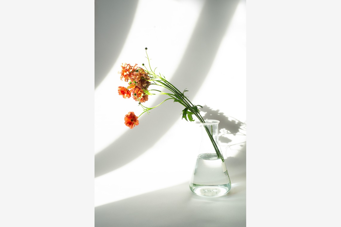 NOJYO高木俊幸写真事務所が撮影した写真のアルバム「花」