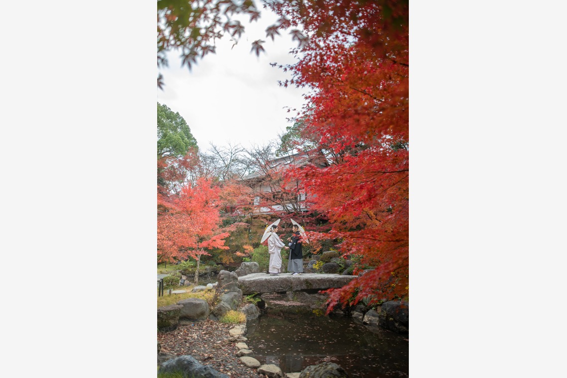 saruco(岩崎寿）が撮影した写真のアルバム「秋の和装前撮り」