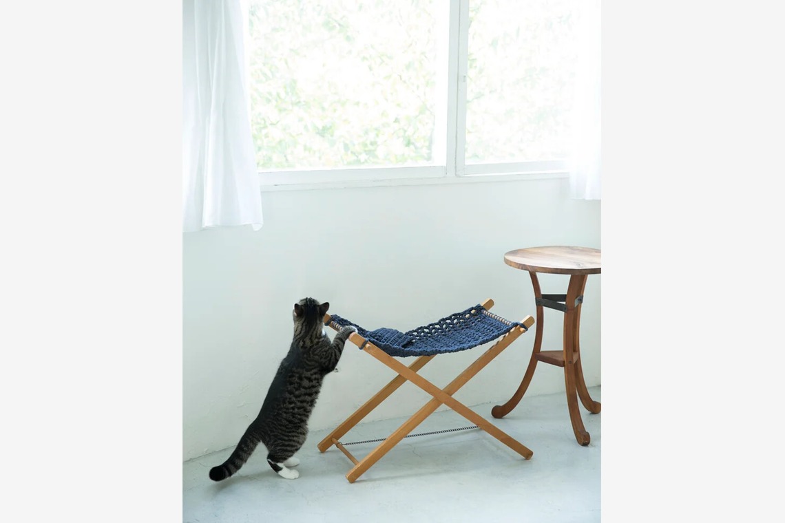 白井由香里写真事務所が撮影した写真のアルバム「動物」