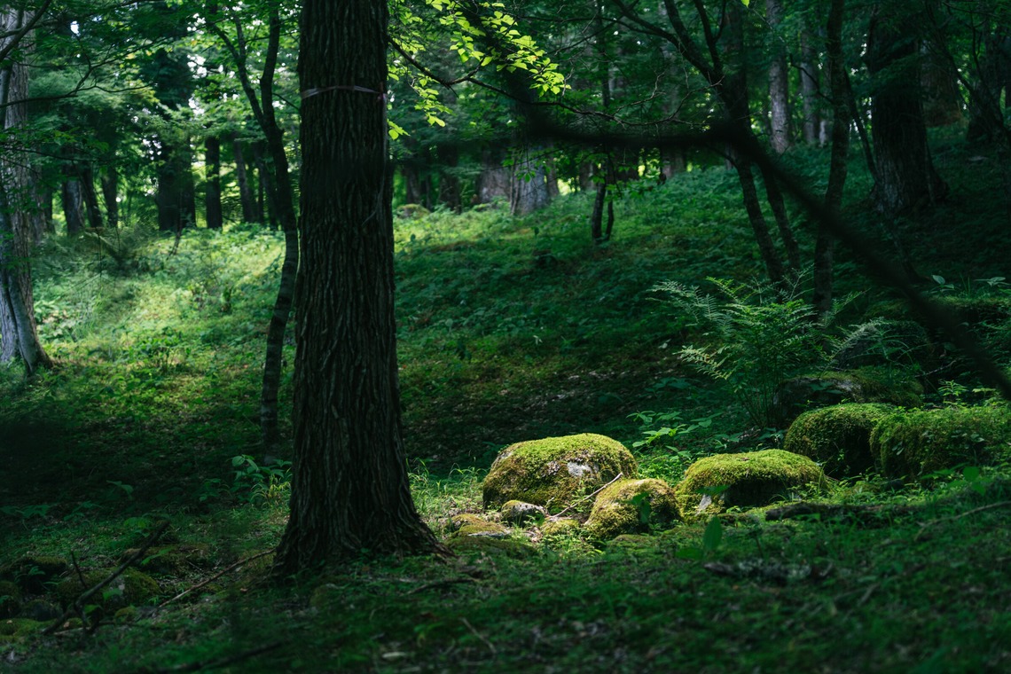 Aya Petite Photographyが撮影した写真のアルバム「ロケーション撮影（キャンプ場）」