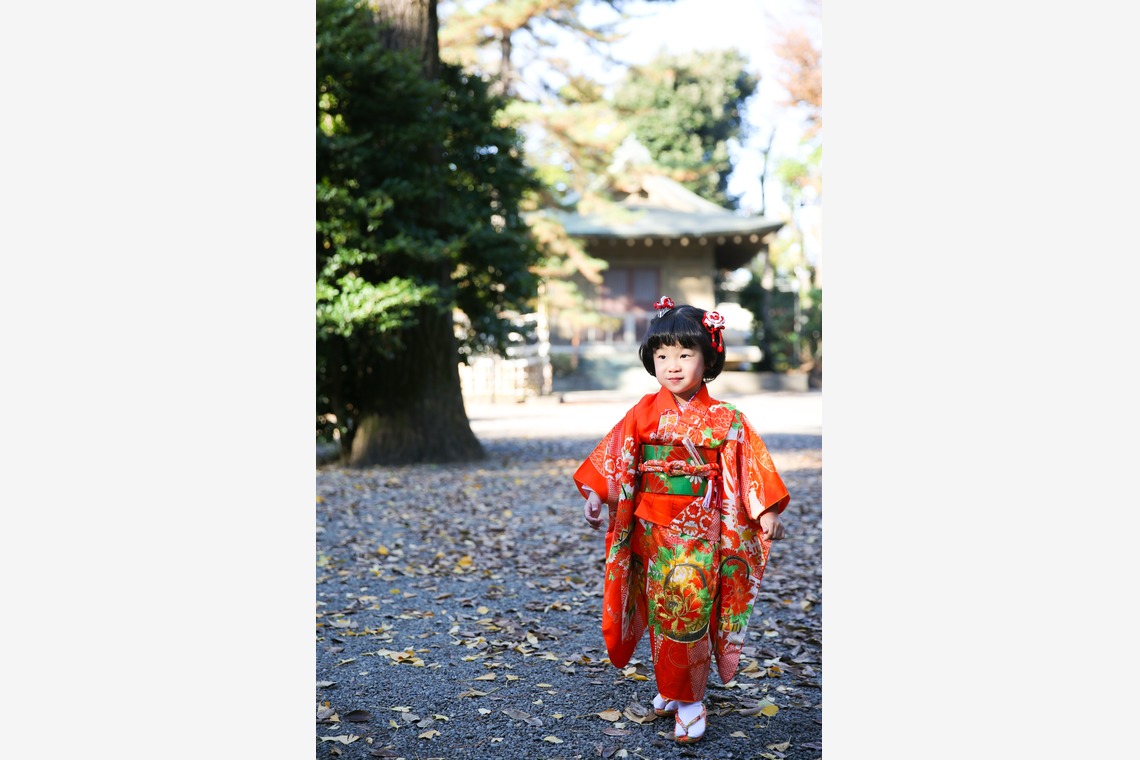 KOMOREBI Photo.　大如　耕平が撮影した写真のアルバム「七五三神社撮影」