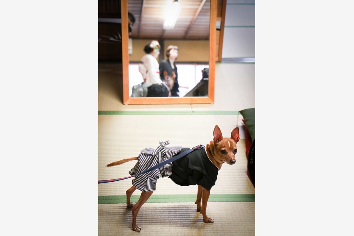 スマイルハンターが撮影した「ロケーション撮影／結婚写真」の写真