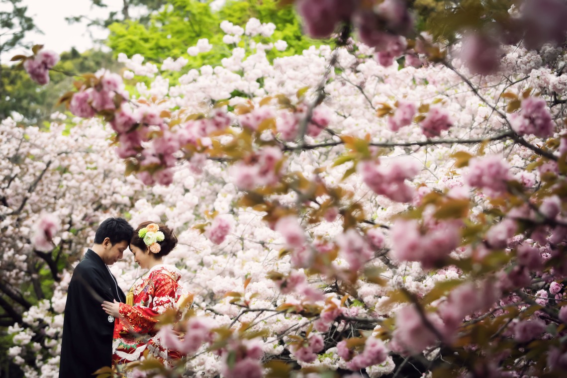 elle pupaが撮影した「京都（自然）」の写真