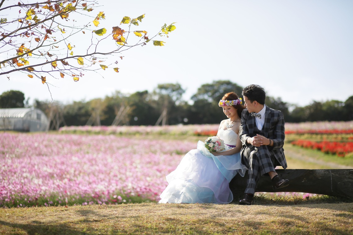 Album of the Location Photo Shoot taken by 酒井大輔 - Pre-wedding shoot