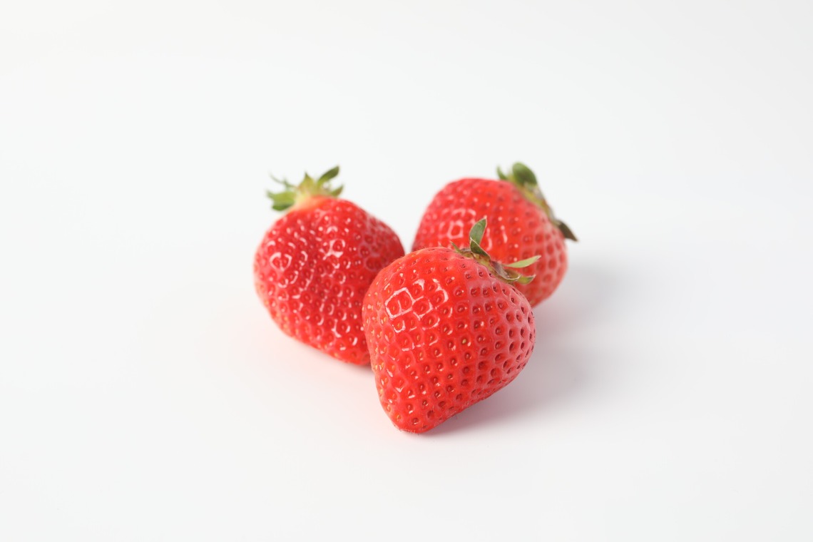 岩坪眞一郎が撮影した「商品または作品」の写真