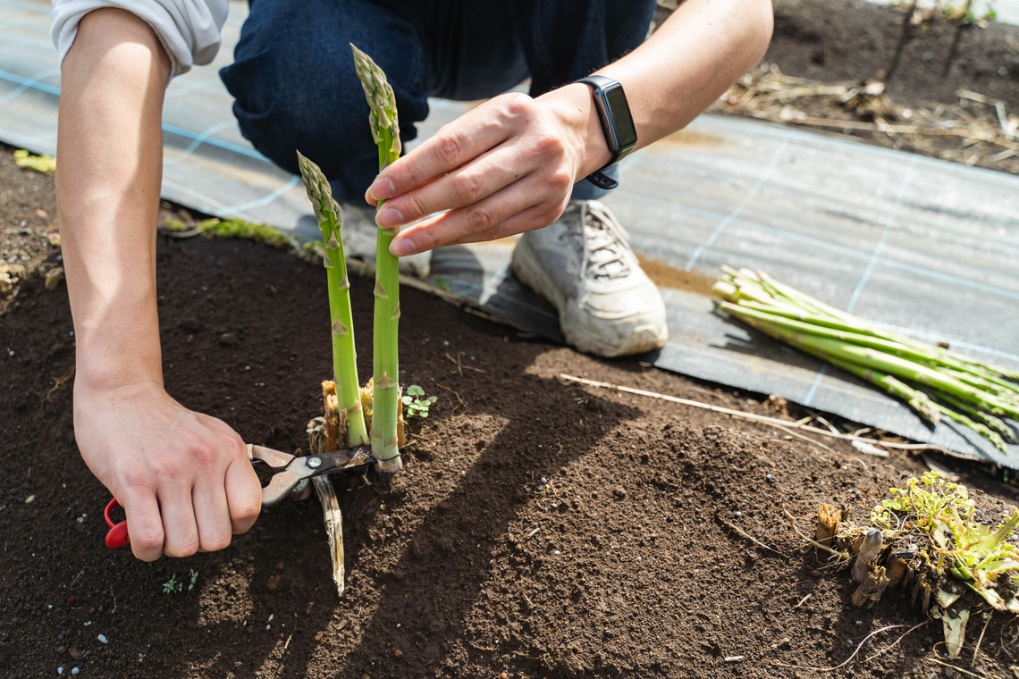 oryo studioが撮影した「記事」の写真