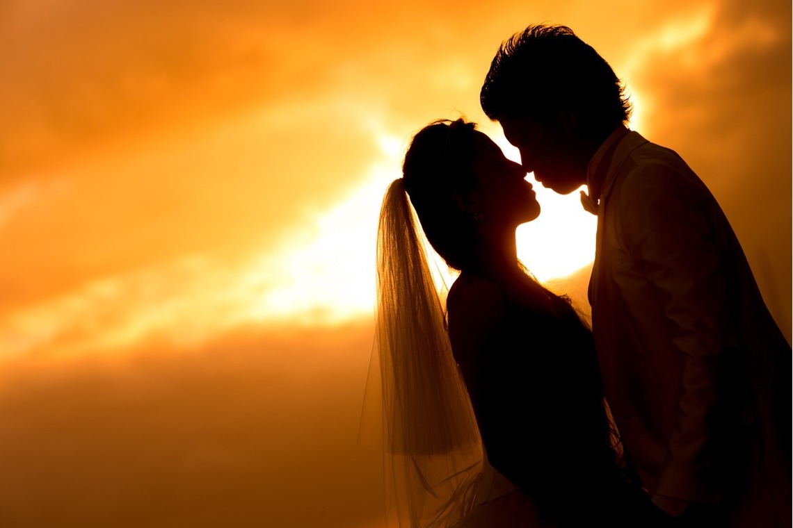 2cconcept (梅田福夫)が撮影した「フォトギャラリー」の写真