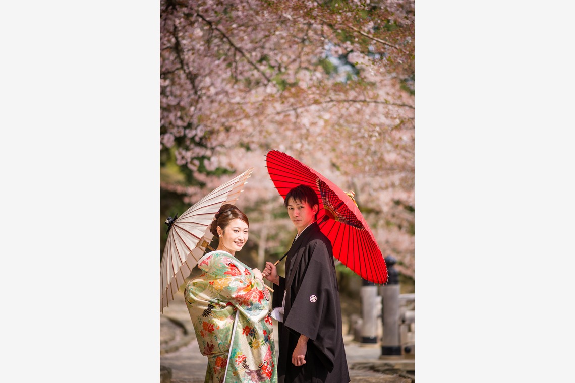 studio zeroが撮影した「奈良」の写真