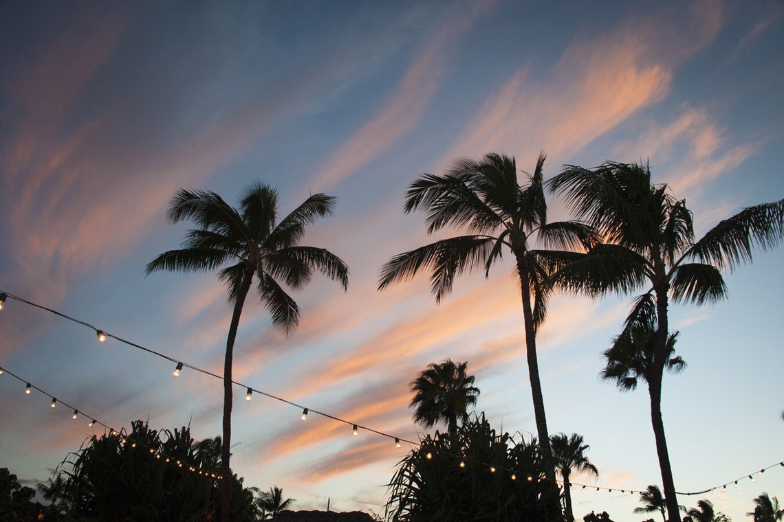 Willow Photoが撮影した写真のアルバム「Vintage Wine Week at Four Seasons Resort Maui」