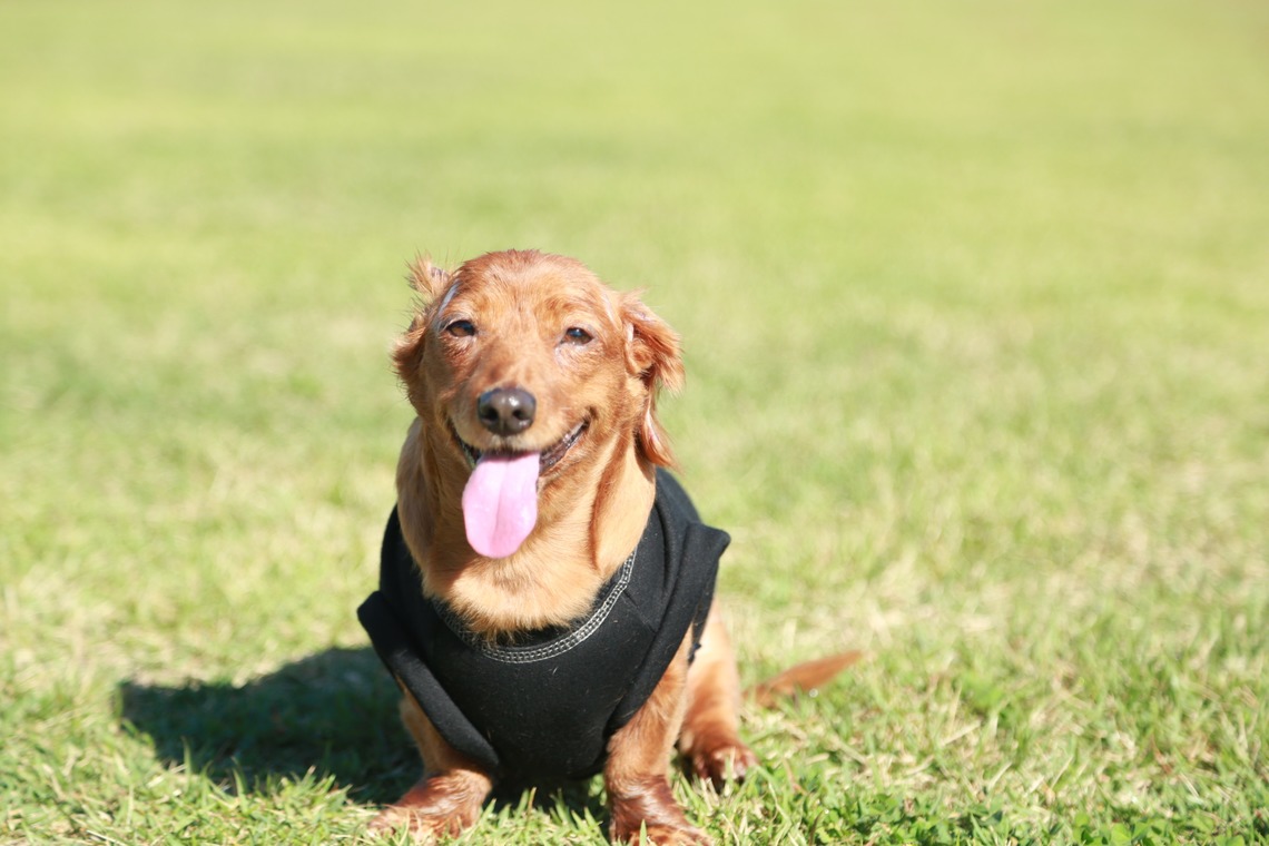 千 円空が撮影した「」の写真
