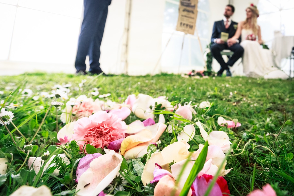 Wilf Wedding Photographer