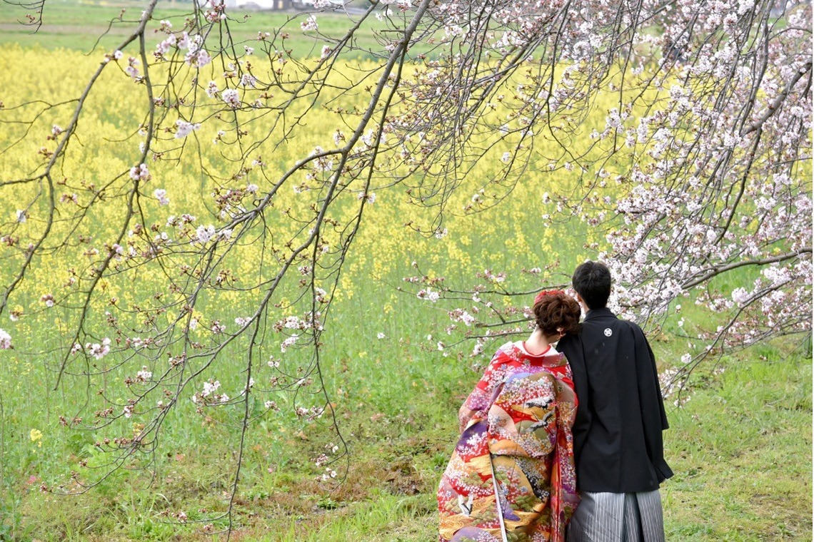 キキフォトワークスが撮影した「桜の季節の和装前撮り」の写真