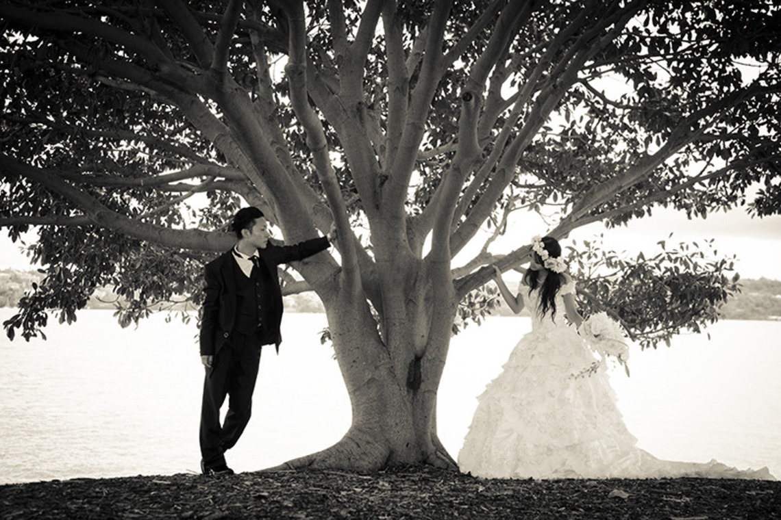 Album of the Wedding, Bridal taken by Lapin Design Photography - wedding