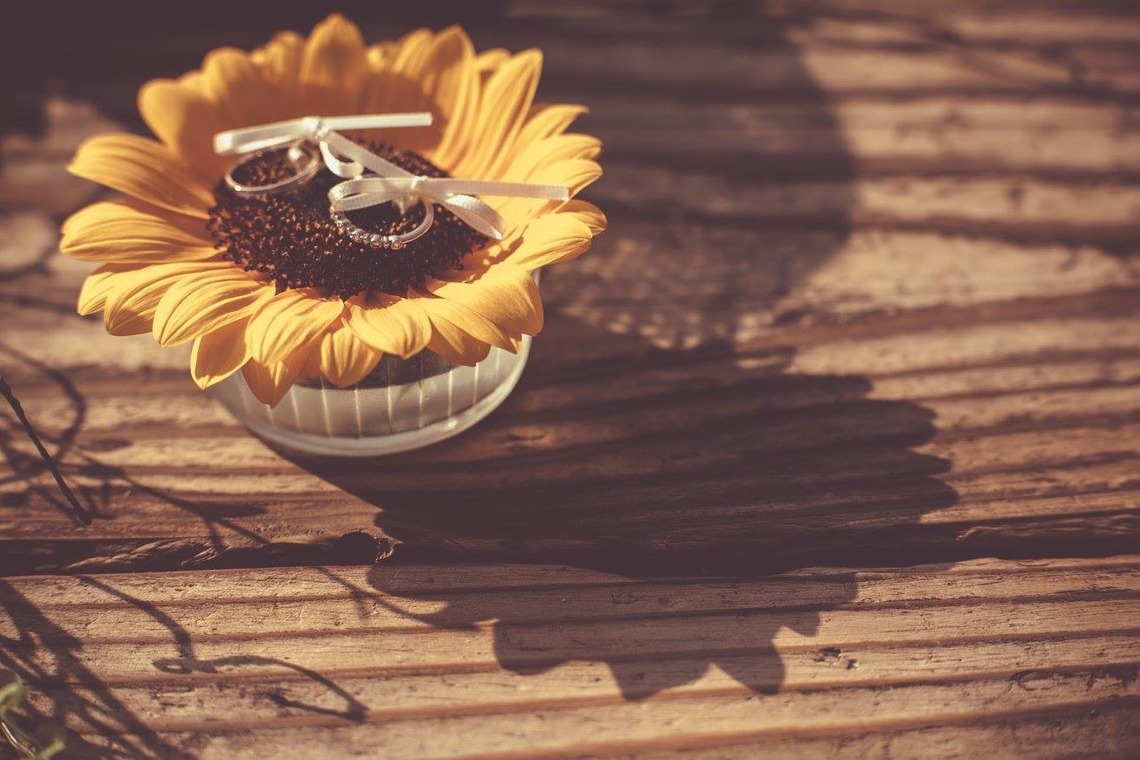  グラフィーズが撮影した「87デイズ」の写真