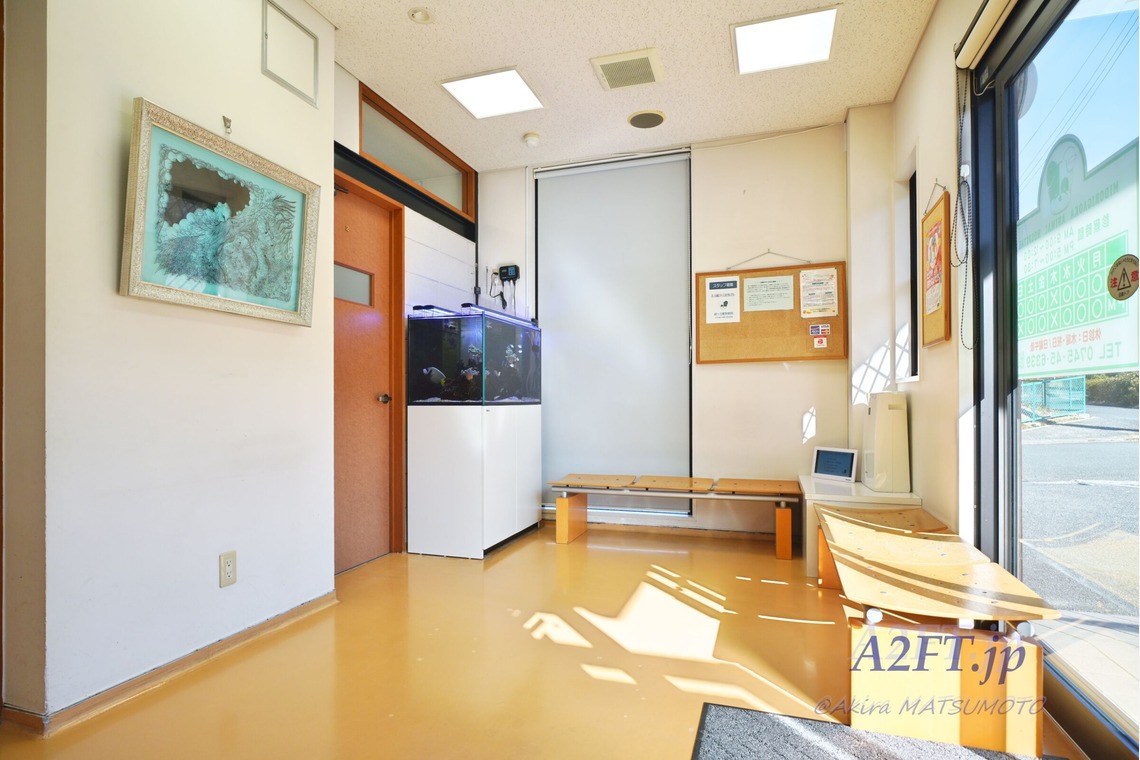 A2FT.jpフォトグラファーまつもとあきらが撮影した写真のアルバム「2021年1月 緑が丘動物病院様」