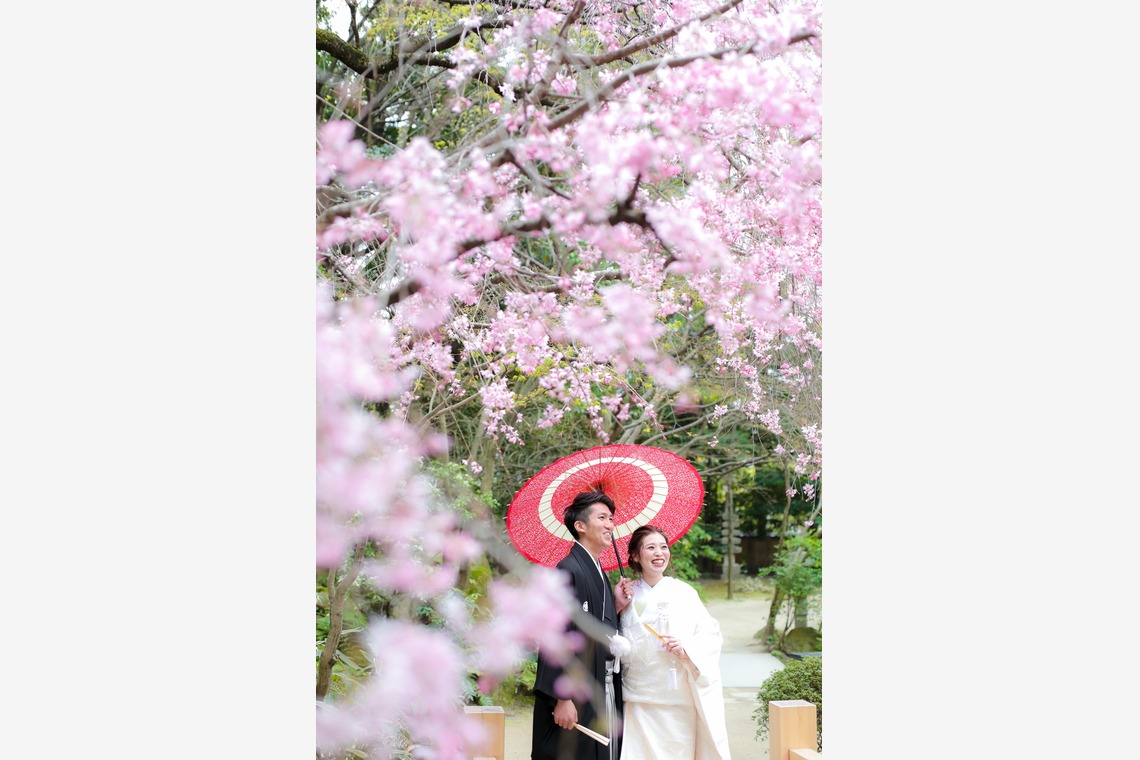 インプルーブ博多店