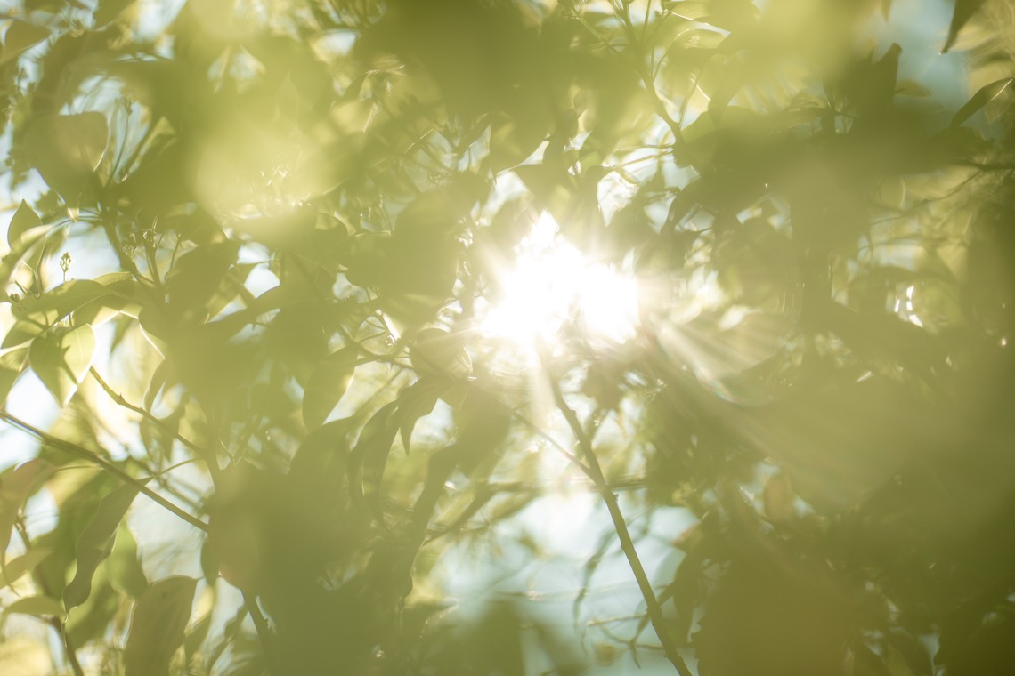 木村　智が撮影した「」の写真