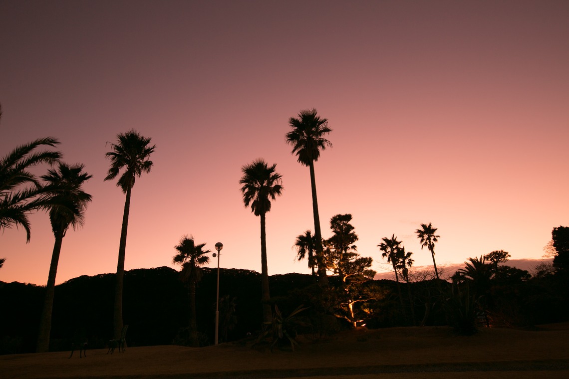 下田　東急ホテルが撮影した「フォトギャラリー」の写真