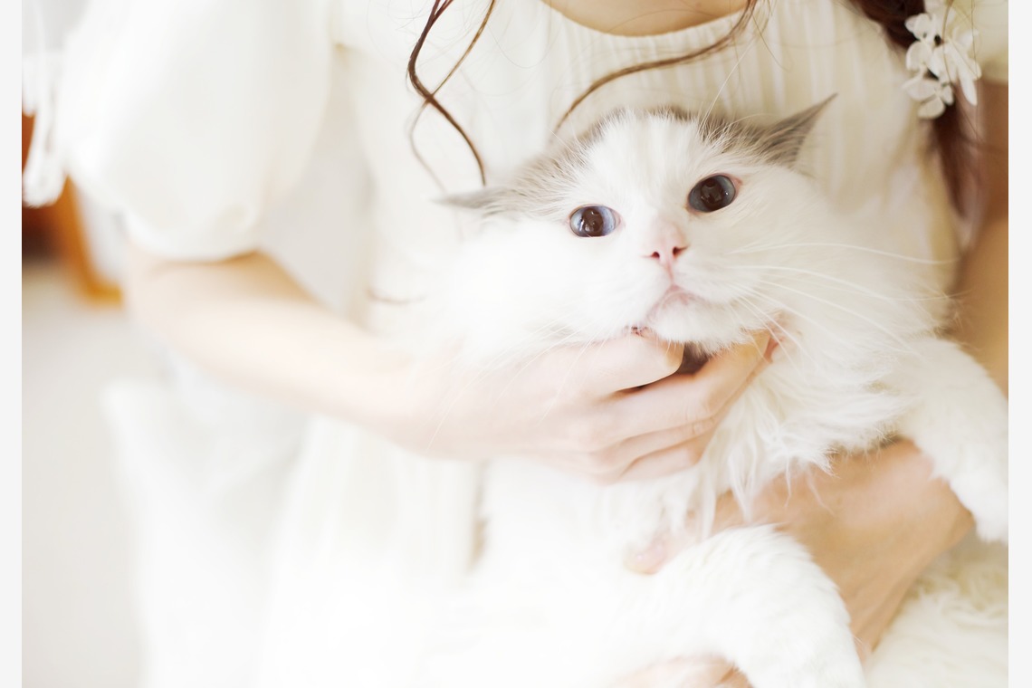 ほんとうにかわいい結婚写真ecoo（エクー）が撮影した「式当日写真」の写真