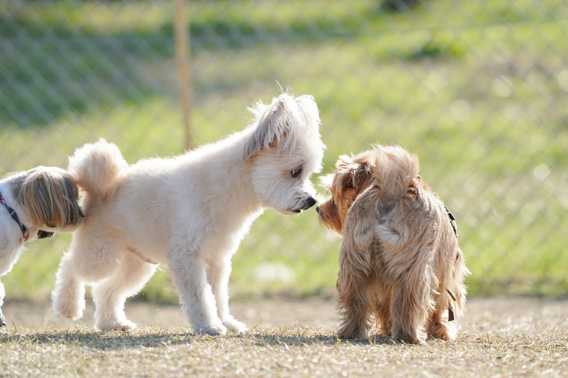 阪口写真事務所
