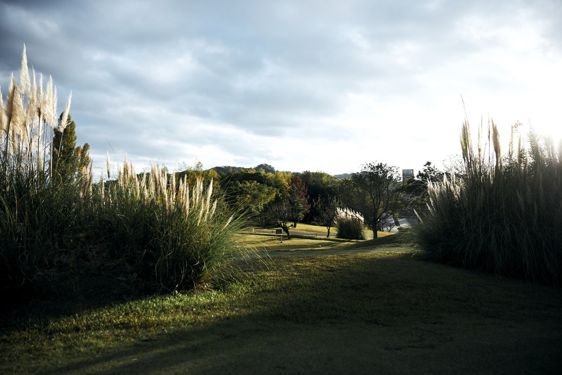 kiharu&photoが撮影した「風景【ロケ撮影】」の写真