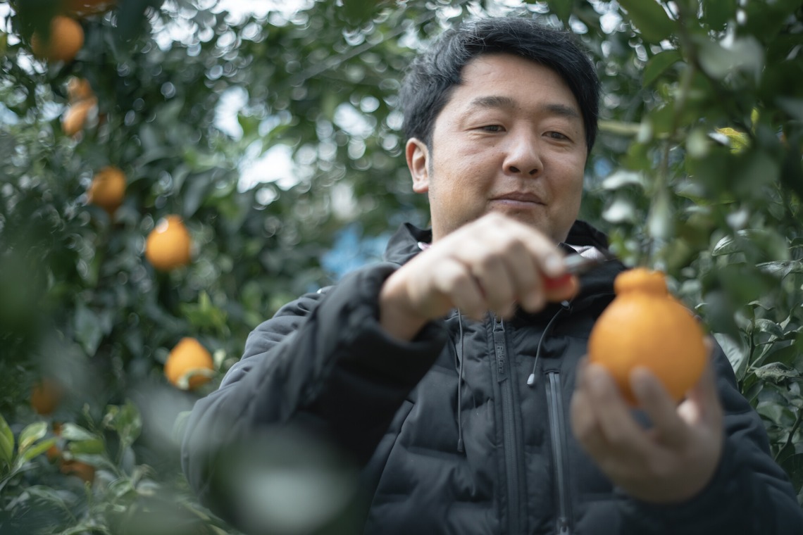 SHO HASEGAWAが撮影した「産地で働く（取材撮影）」の写真