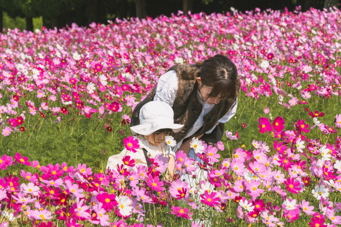 日下翔太郎が撮影した「屋外でのお子様メインの家族写真」の写真