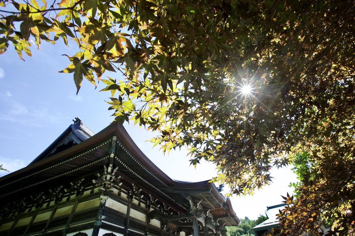 TATEZOUが撮影した写真のアルバム「風景写真」