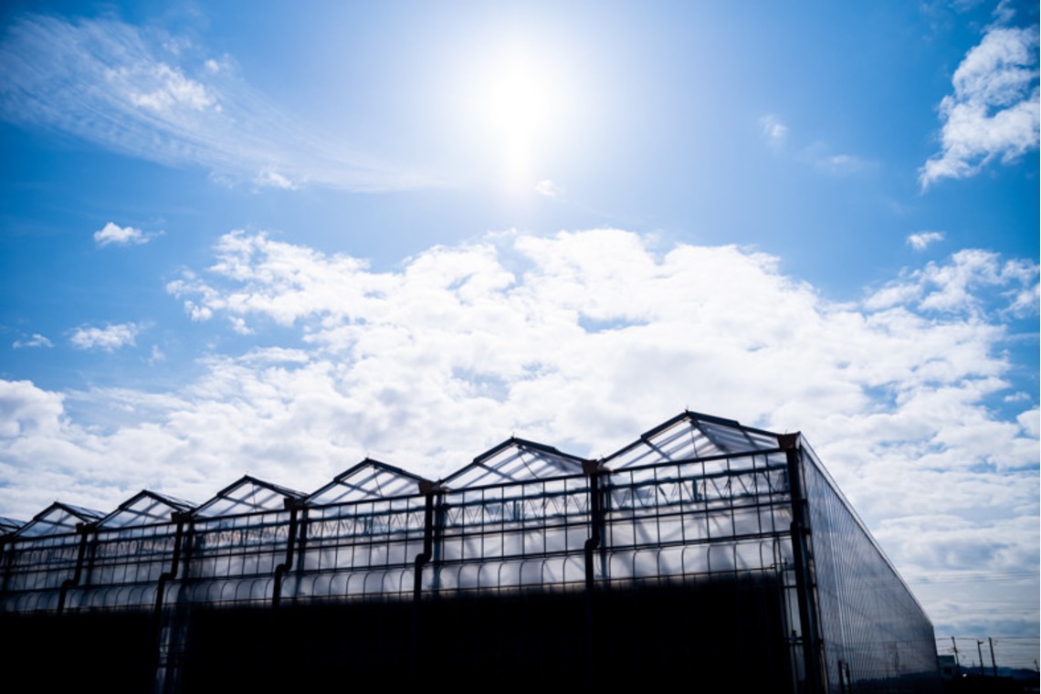 maimaiCameraが撮影した「店舗」の写真