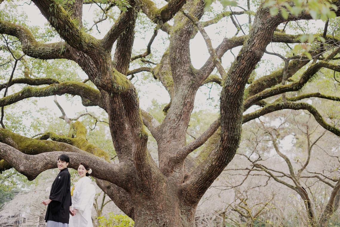 片倉写真事務所が撮影した写真のアルバム「前撮り京都」