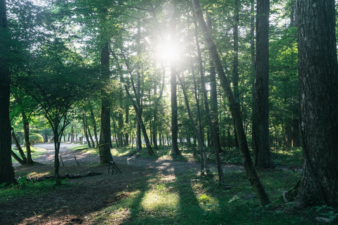 Aya Petite Photographyが撮影した写真のアルバム「ロケーション撮影（キャンプ場）」