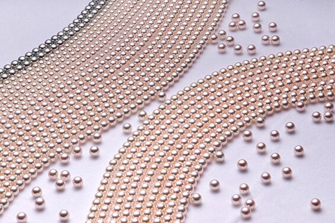 ワンツーBフォトが撮影した写真のアルバム「商品撮影」