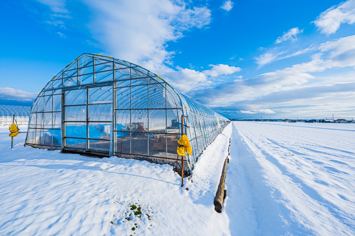 高木勇斗が撮影した写真のアルバム「風景　物撮り」