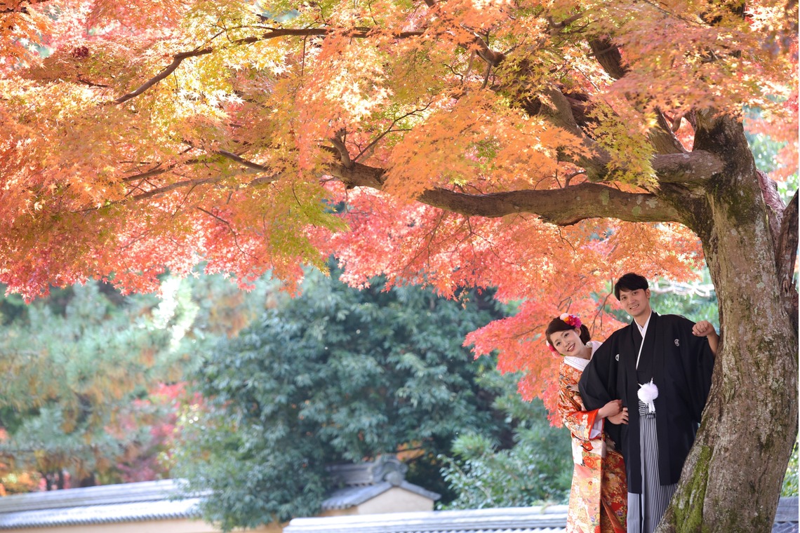 キキフォトワークスが撮影した「秋の奈良公園で和装前撮り」の写真