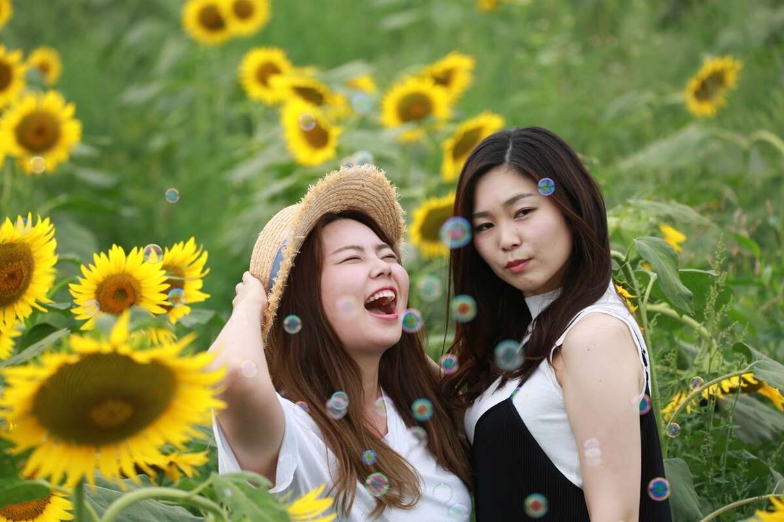 理 S PHOTOが撮影した「鼻高展望ひまわり畑」の写真