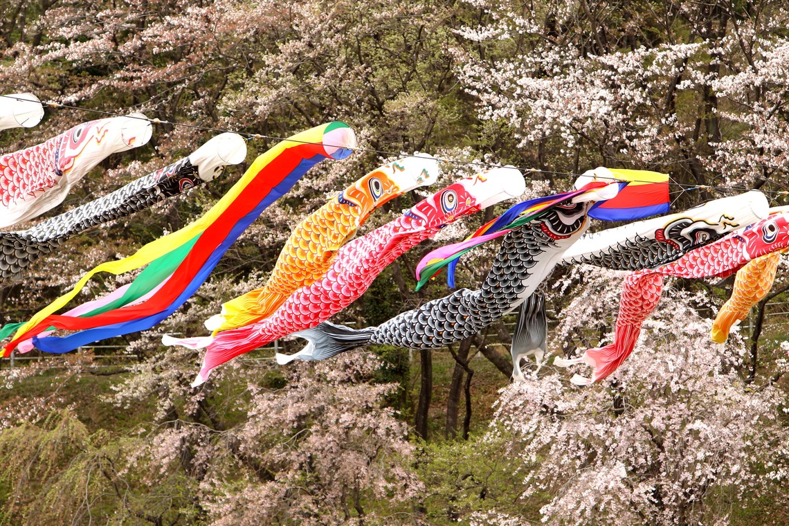 瀬井美明が撮影した「海外・国内」の写真